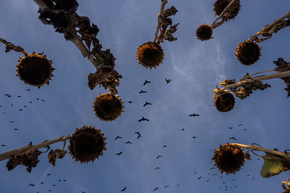 Photograph by Рослов Евгений