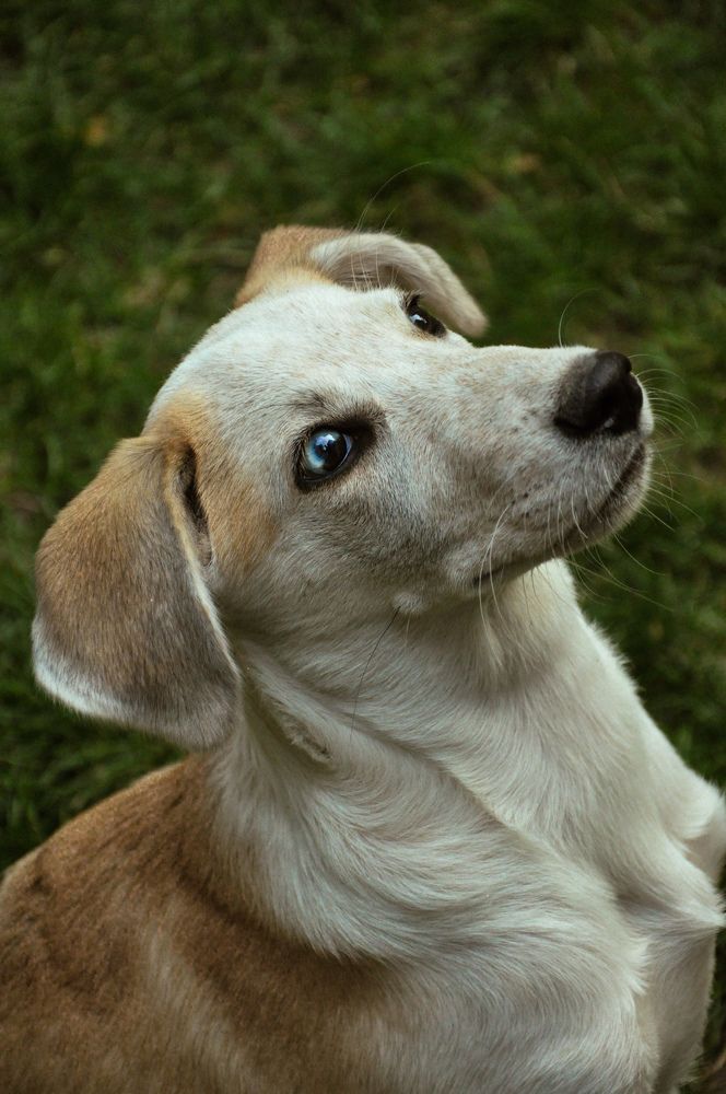 Photograph by Марина Маркина