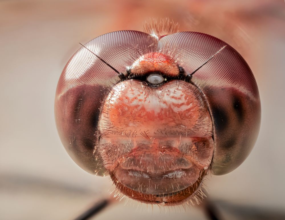 Photograph by Sergio Gomez Dominguez