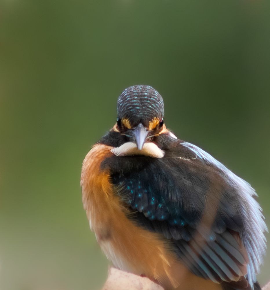 Photograph by Дмитрий Веретельников