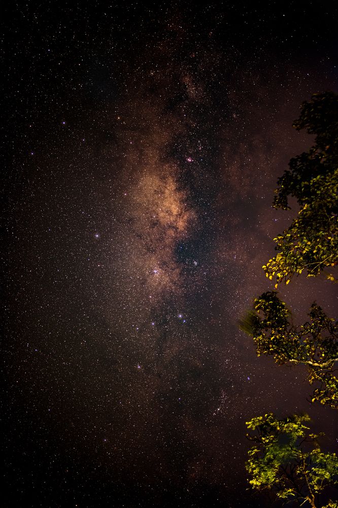 Photograph by GOVIND VISWANATH