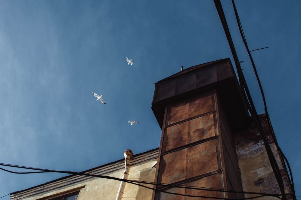 Photograph by Любовь Черник