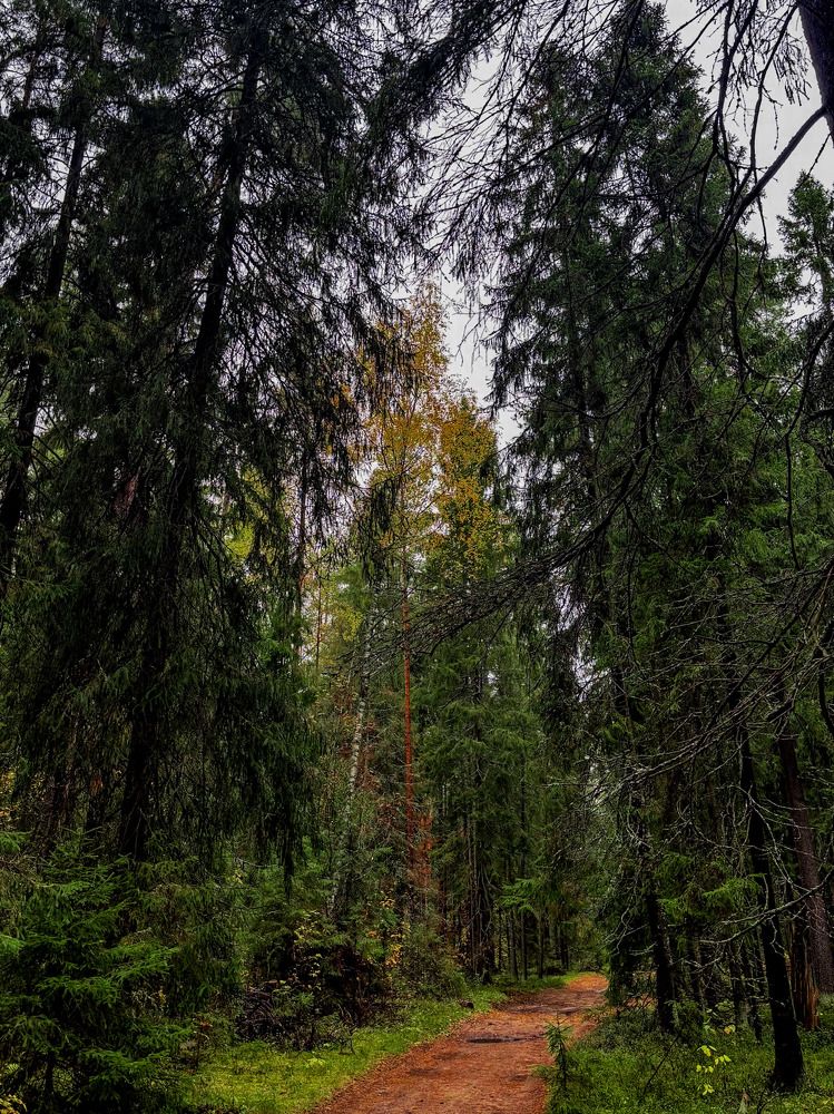 Photograph by Иван Весельников