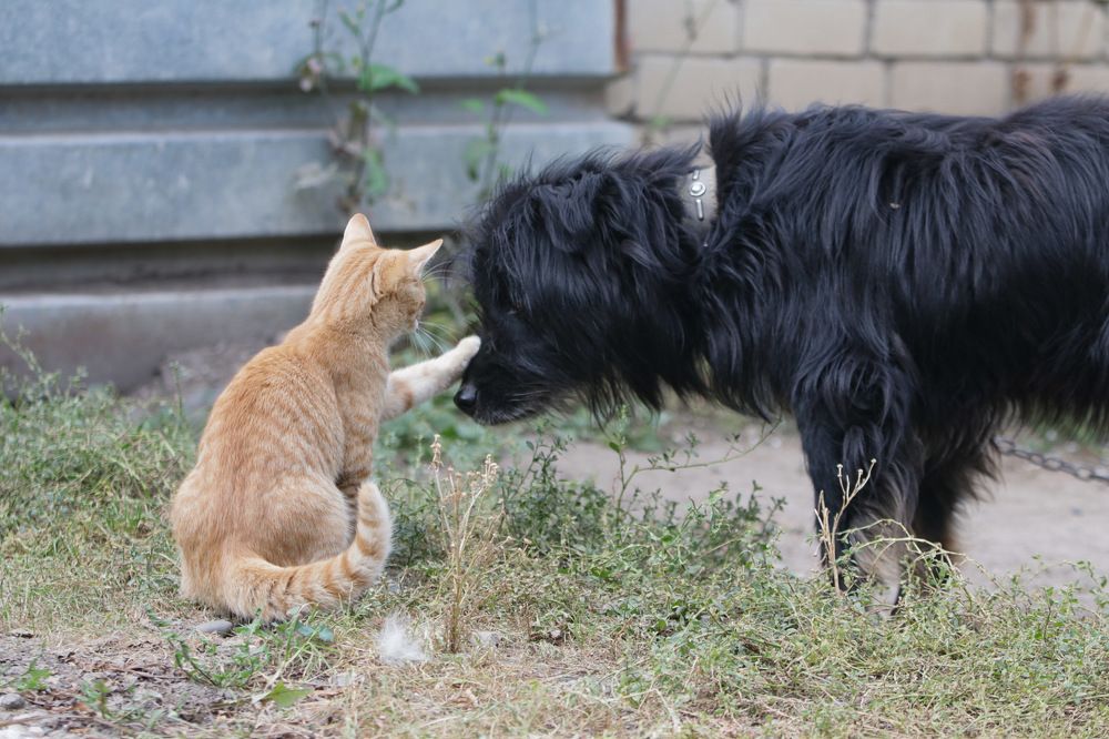 Photograph by Анна Озякова