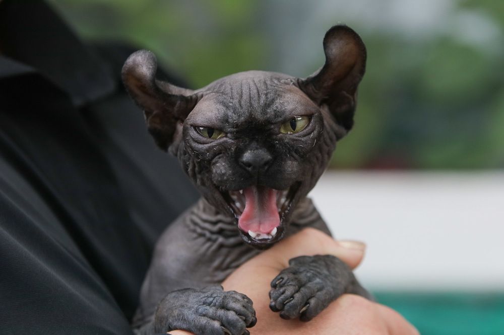 Photograph by Анна Озякова