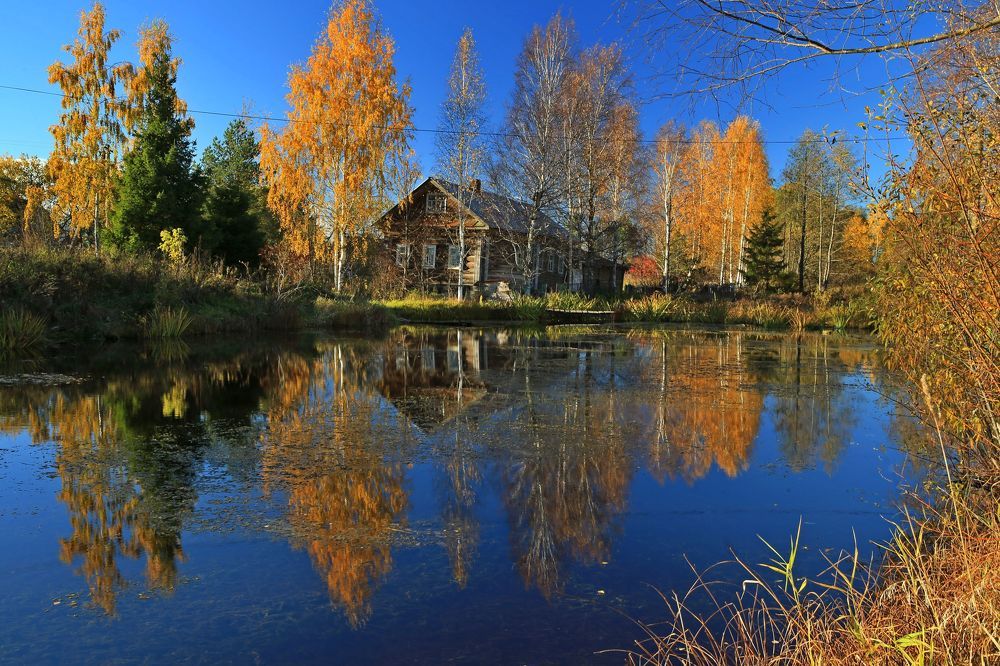 Фотография автора Юрий Кетель