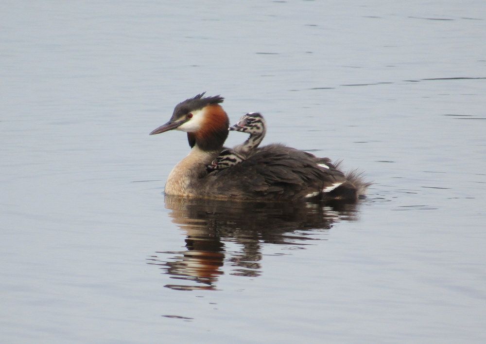 Photograph by Татьяна Смирнова
