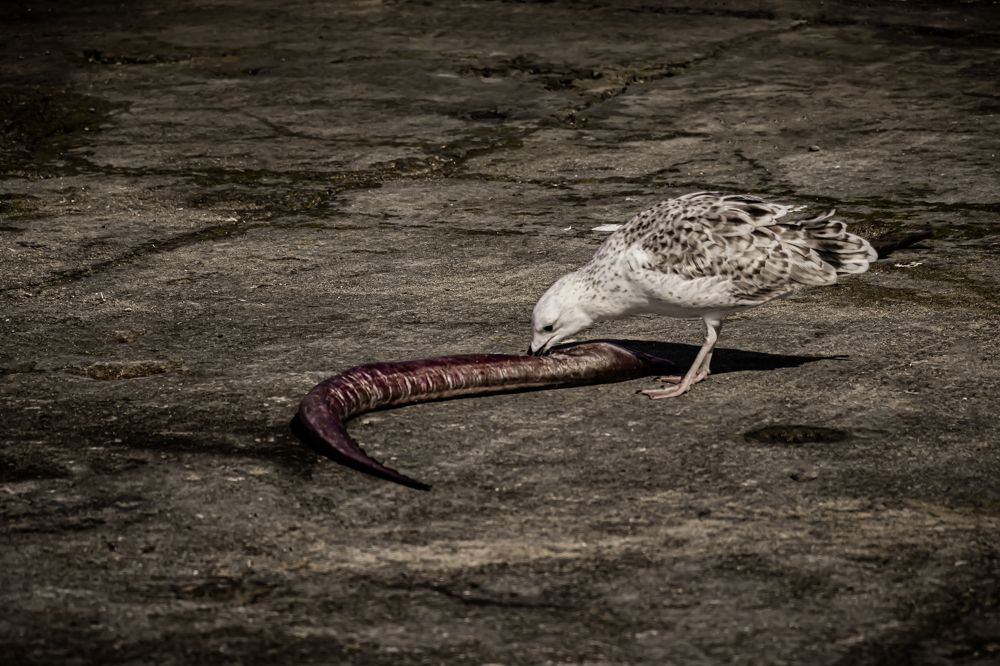 Photograph by Romina Moniri