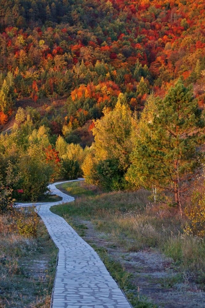 Photograph by Александр Попов