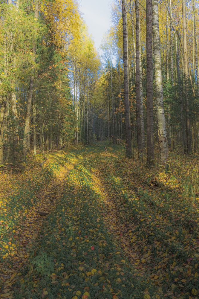 Photograph by Кокорин Алексей