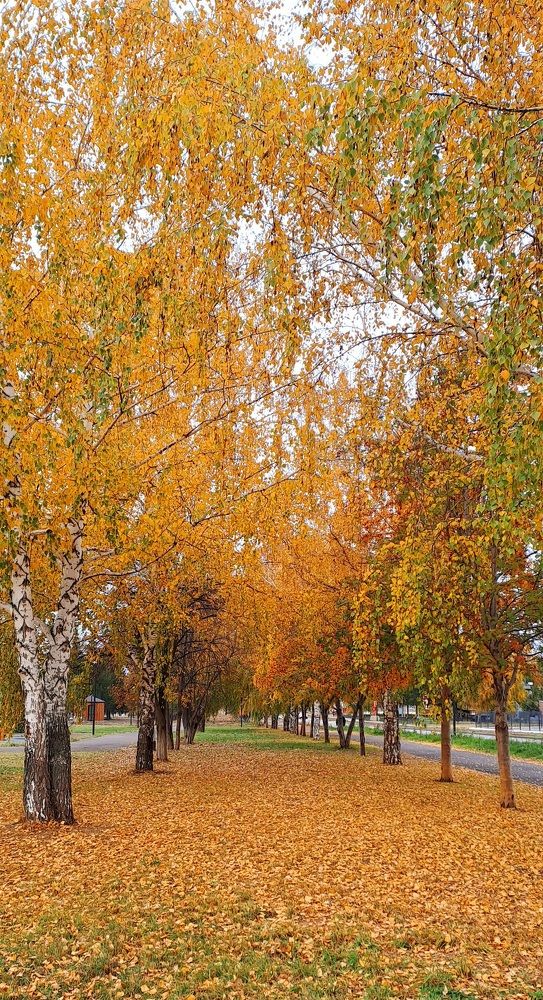 Photograph by Александра Насырова