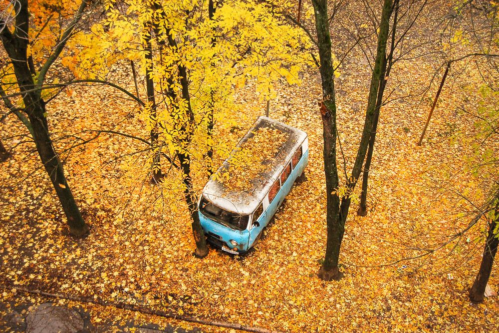 Photograph by Cергей Абакумов