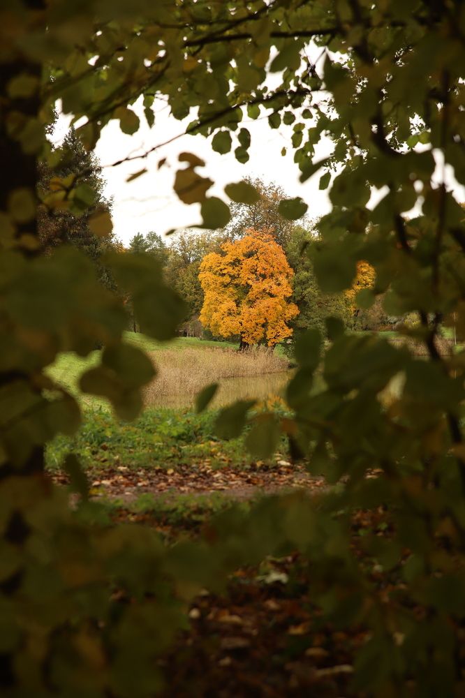 Photograph by Мария Королькова