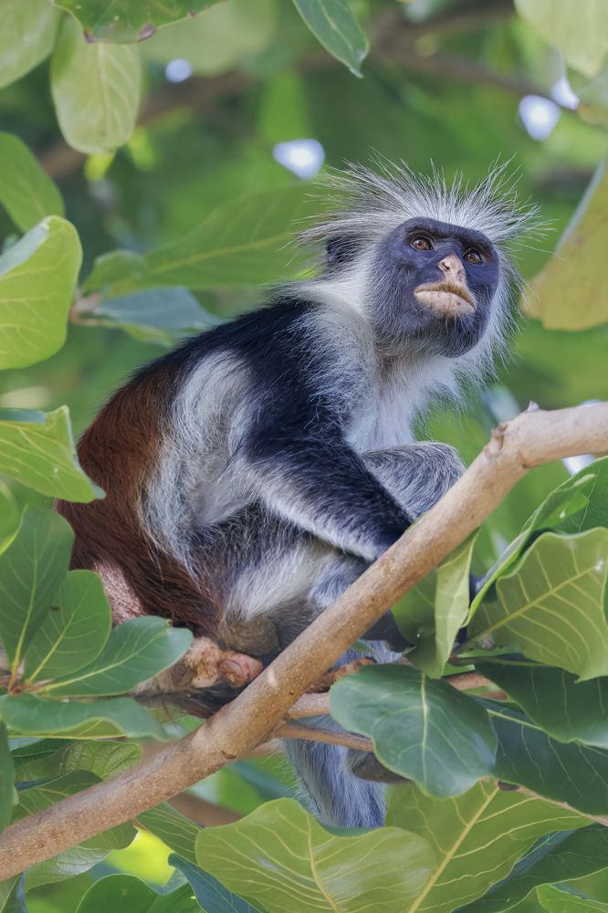 Photograph by Ellen Lichtenheldt