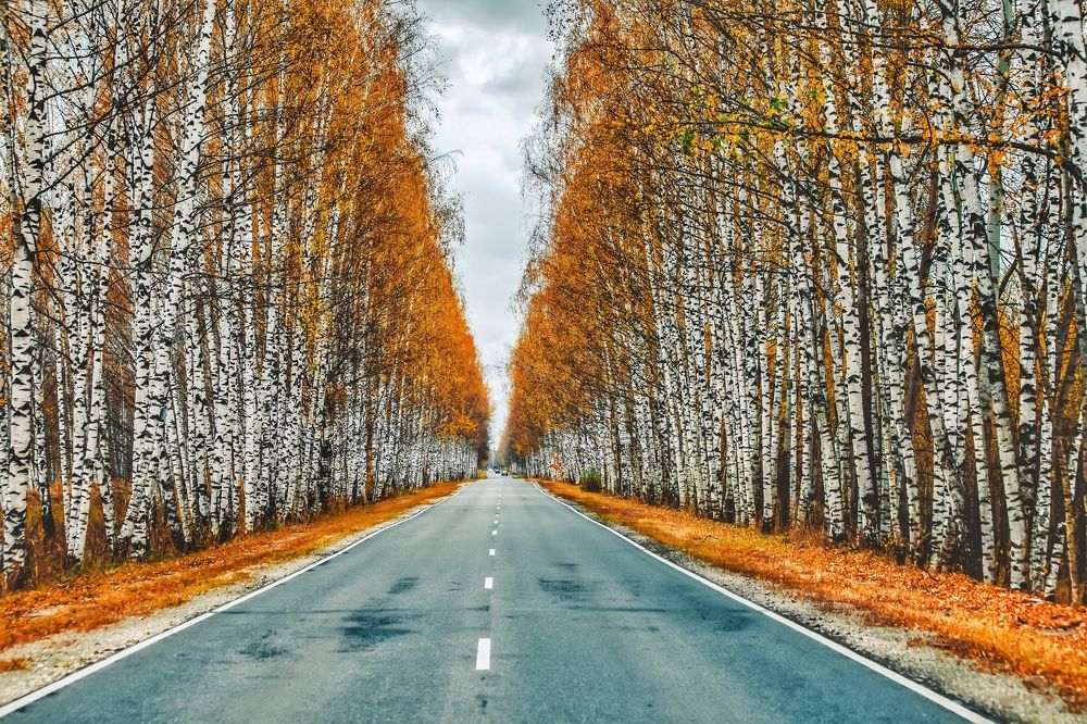 Photograph by Паша Савельев