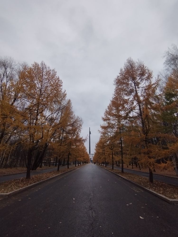 Photograph by Ольга Антохина