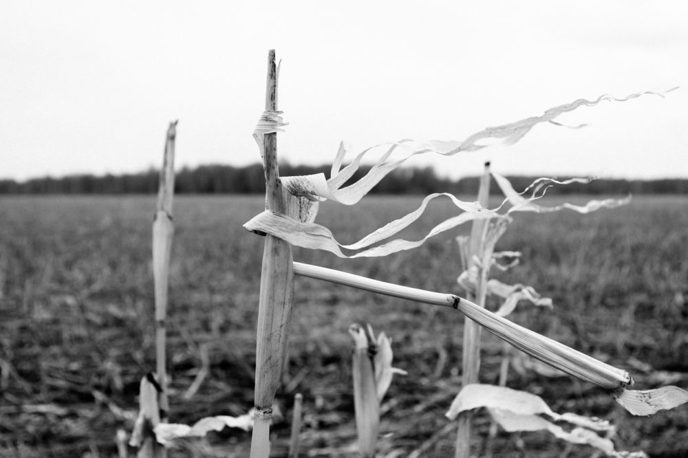 Фотография автора Анна Переверзева