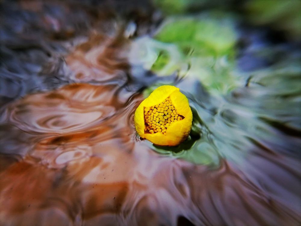 Photograph by Елена Казакова