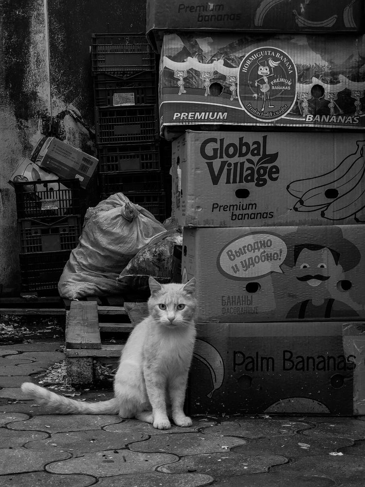 Photograph by Валерия Гуртовая