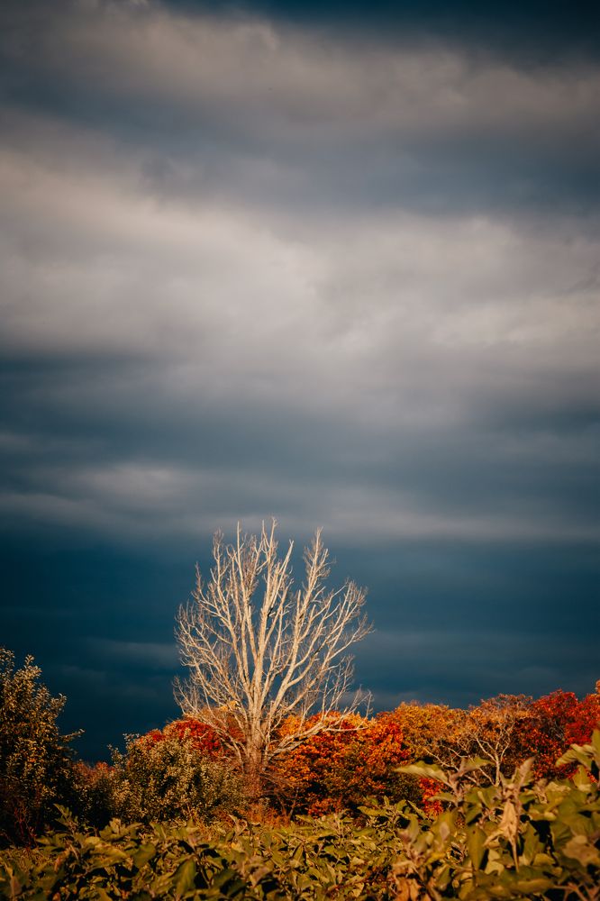 Photograph by Agatha Liss