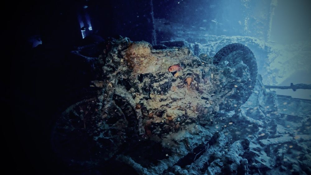 Photograph by Мария Берёзка