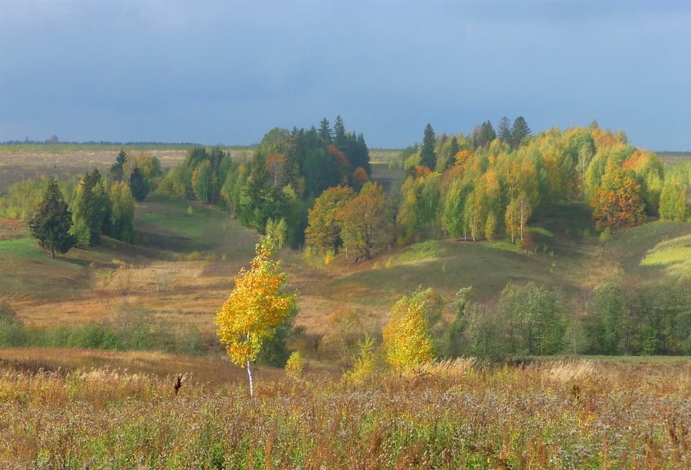 Фотография автора Клавдия Васильева