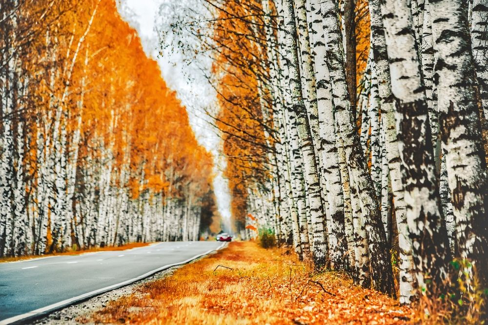 Photograph by Паша Савельев