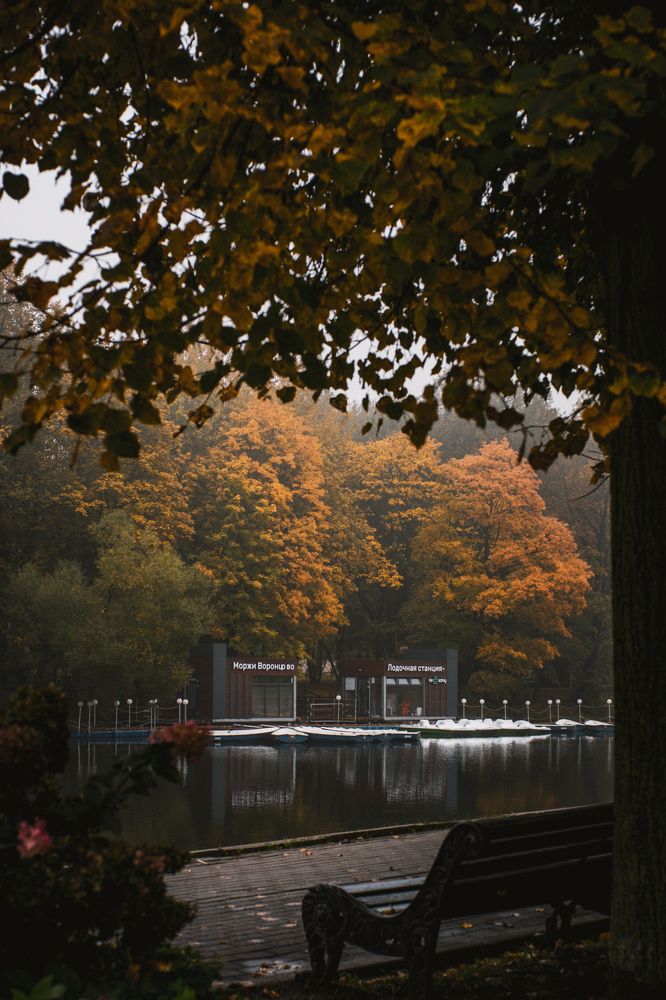 Photograph by Виктория Фирсова