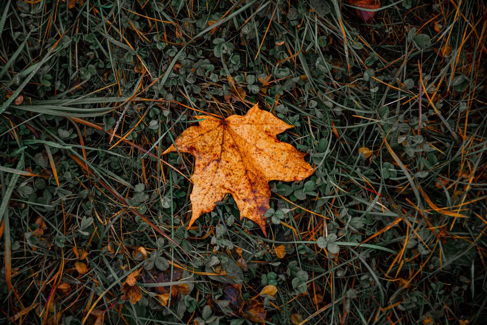 Photograph by Антон Бабичев