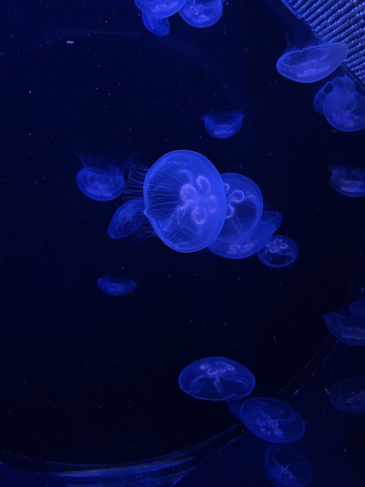 Photograph by Наталья Сергеевна