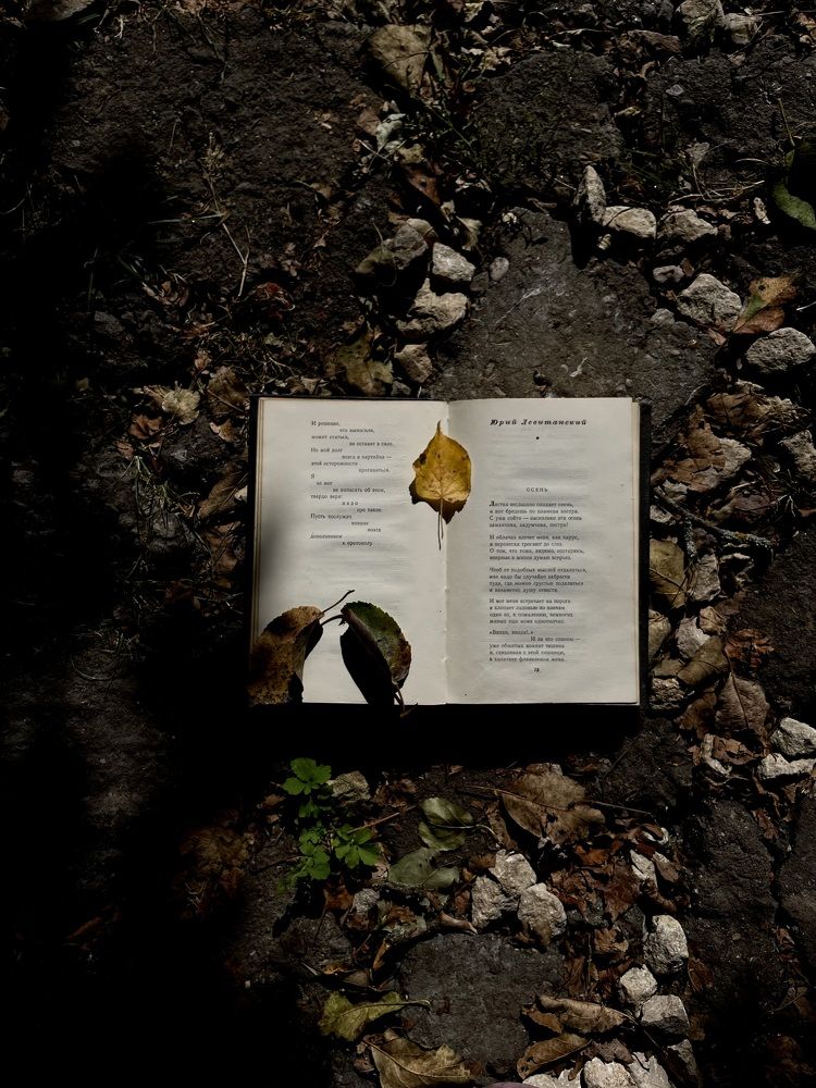 Photograph by Наталья Сергеевна