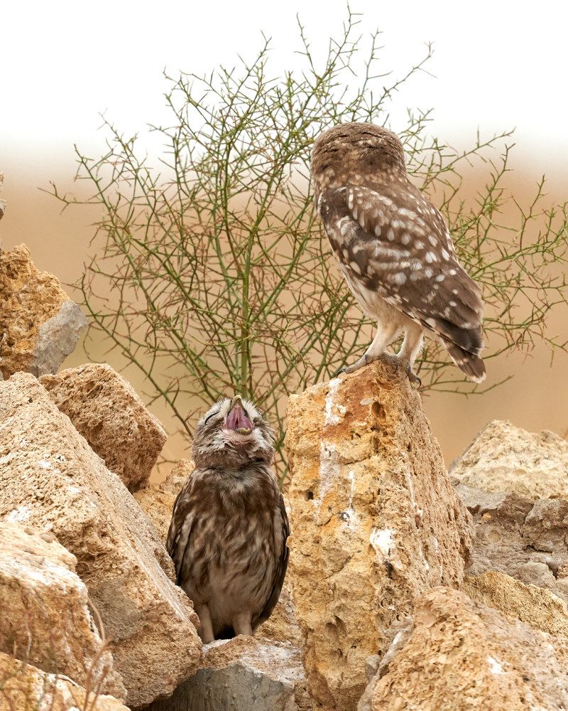 Photograph by Victor Krachkovsky