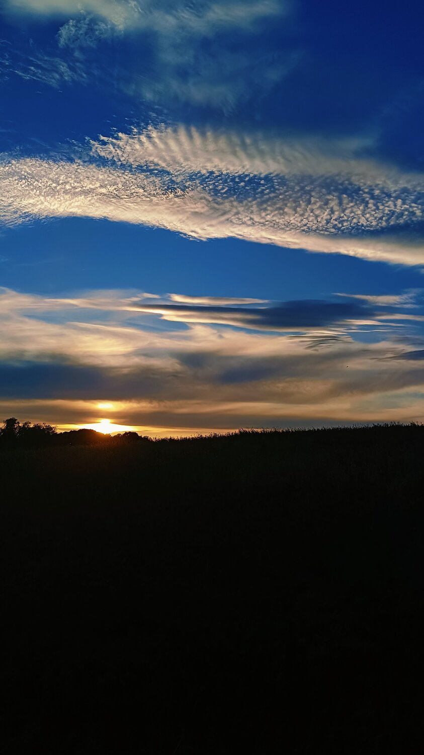 Photo #11148868
