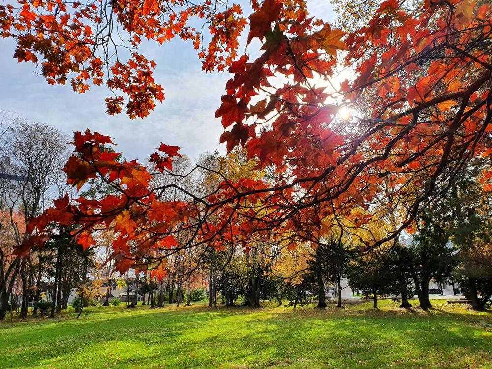 Photograph by Жанна Регор