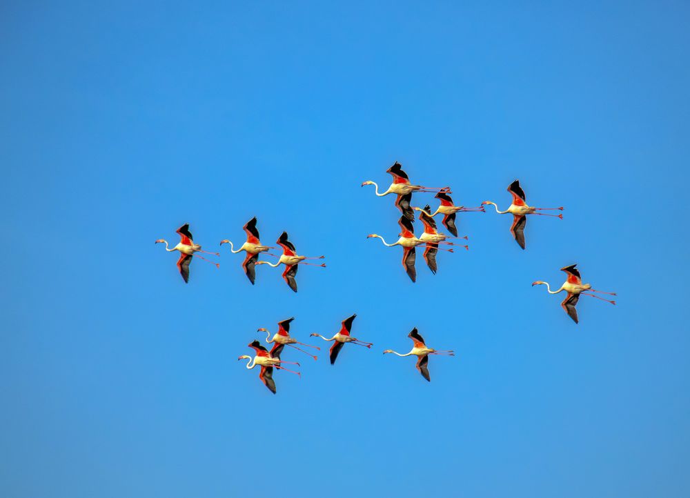 Фотография автора Ismail SAIDI