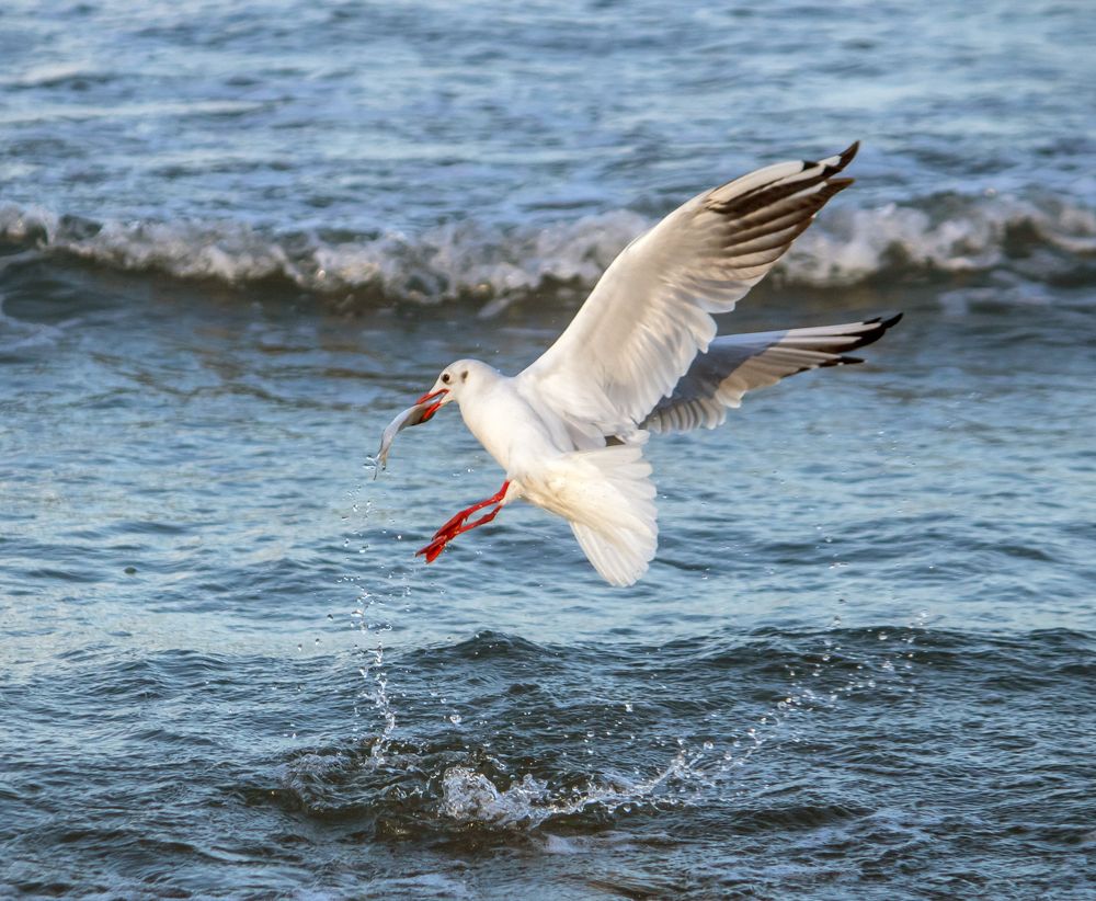 Фотография автора Ismail SAIDI