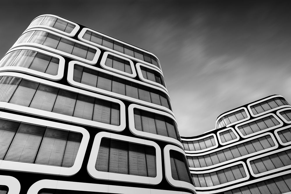 Photograph by Alaa Nour