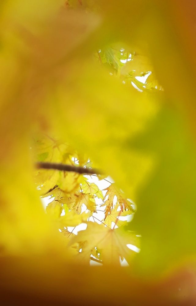 Photograph by sameera madushantha