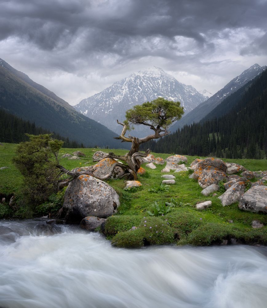 Photograph by Екатерина Сысоева