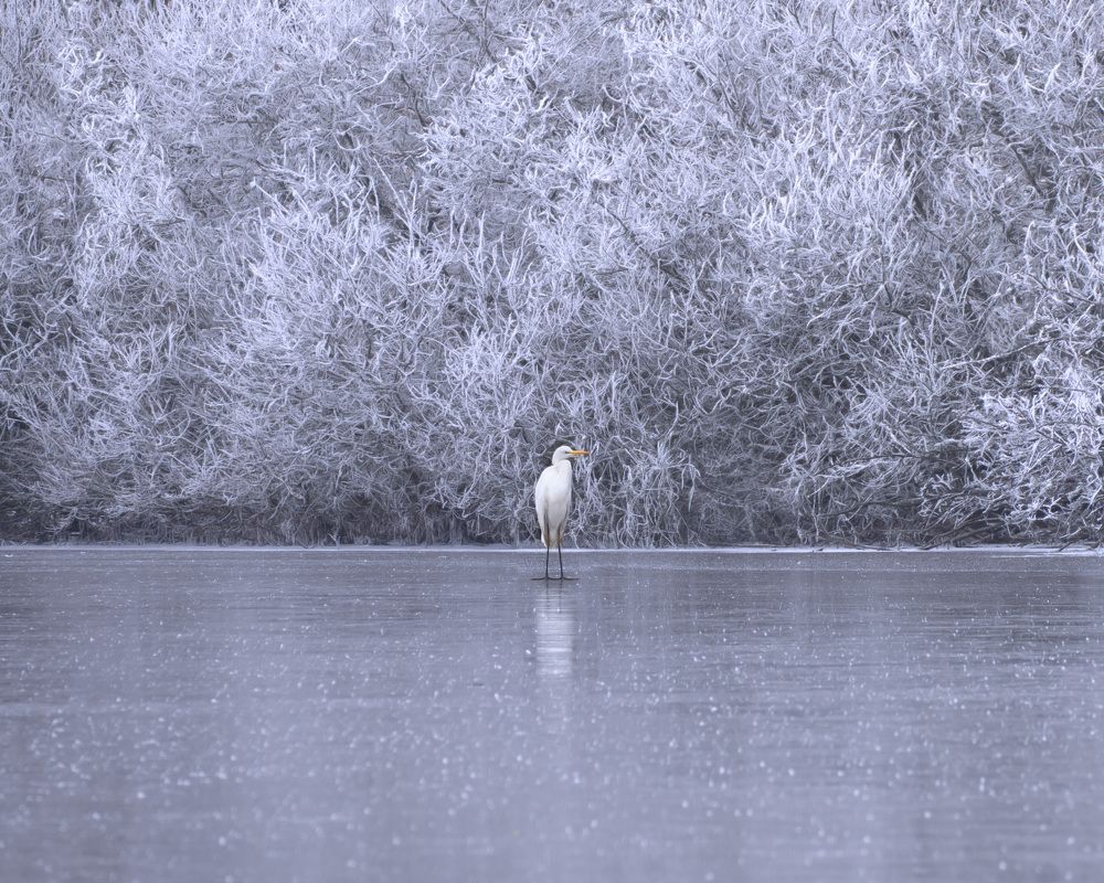 Photograph by LYUDMYLA POKRYSHEN