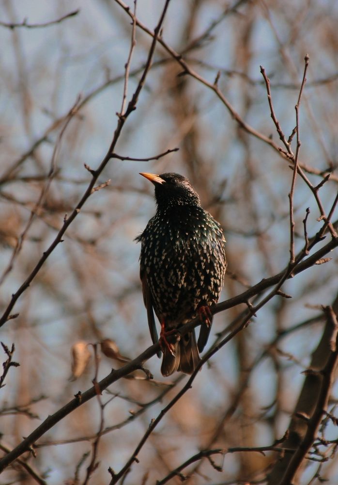 Photograph by Elena Edeleva Еделева