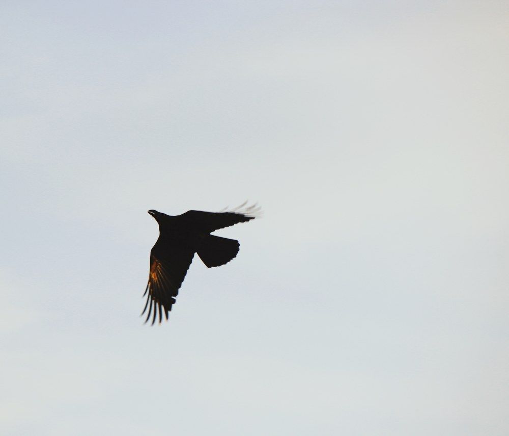 Photograph by Elena Edeleva Еделева