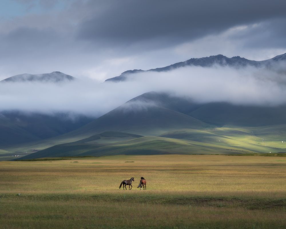 Photograph by Екатерина Сысоева