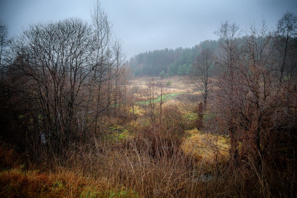 Photograph by Алексей Трифонов