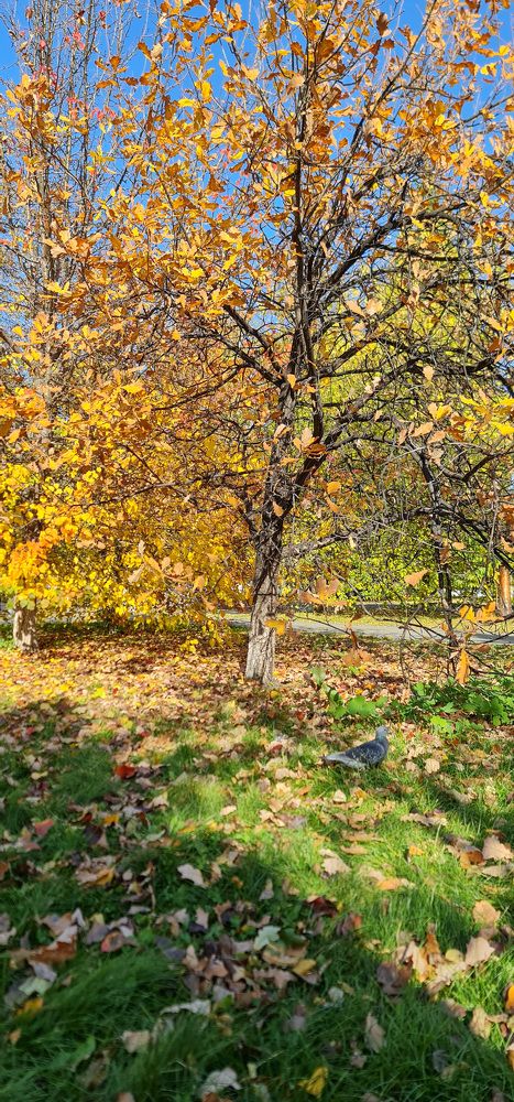 Photograph by Natasha Kim