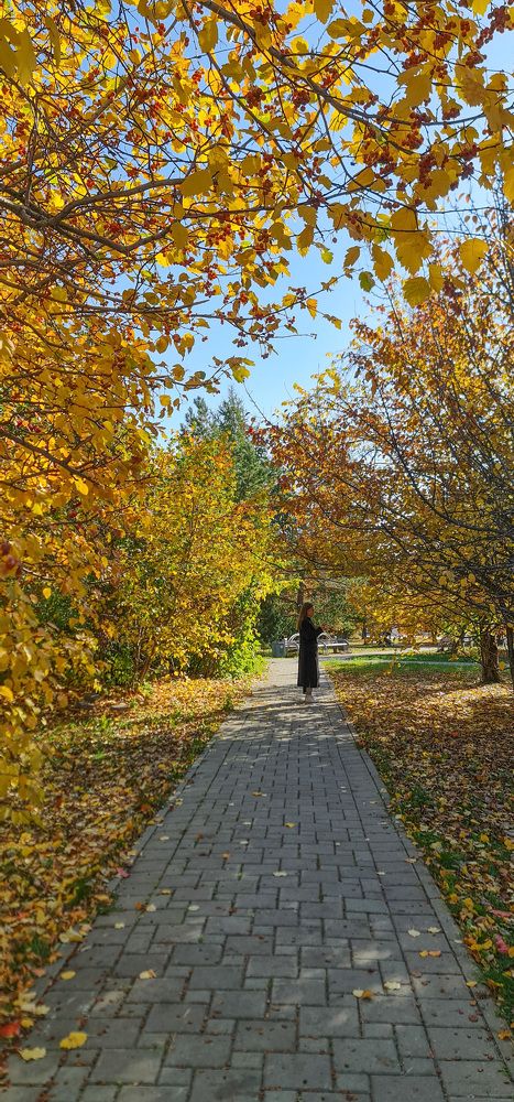 Photograph by Natasha Kim