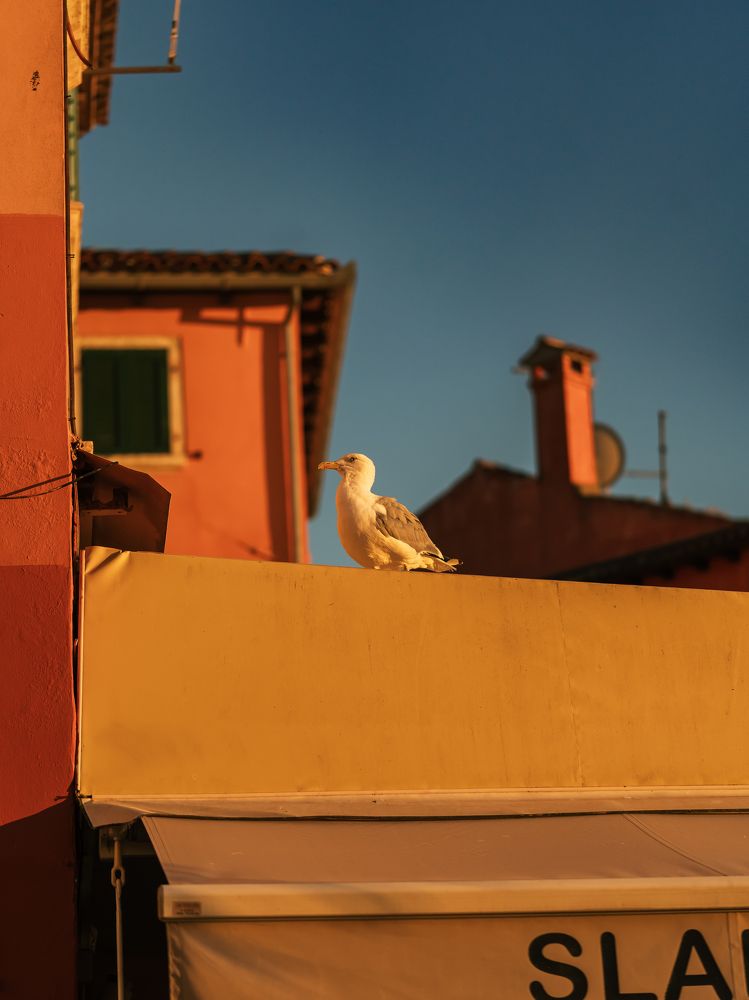 Photograph by Людмила
