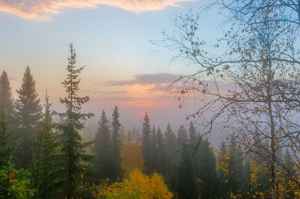 Photograph by Толяныч