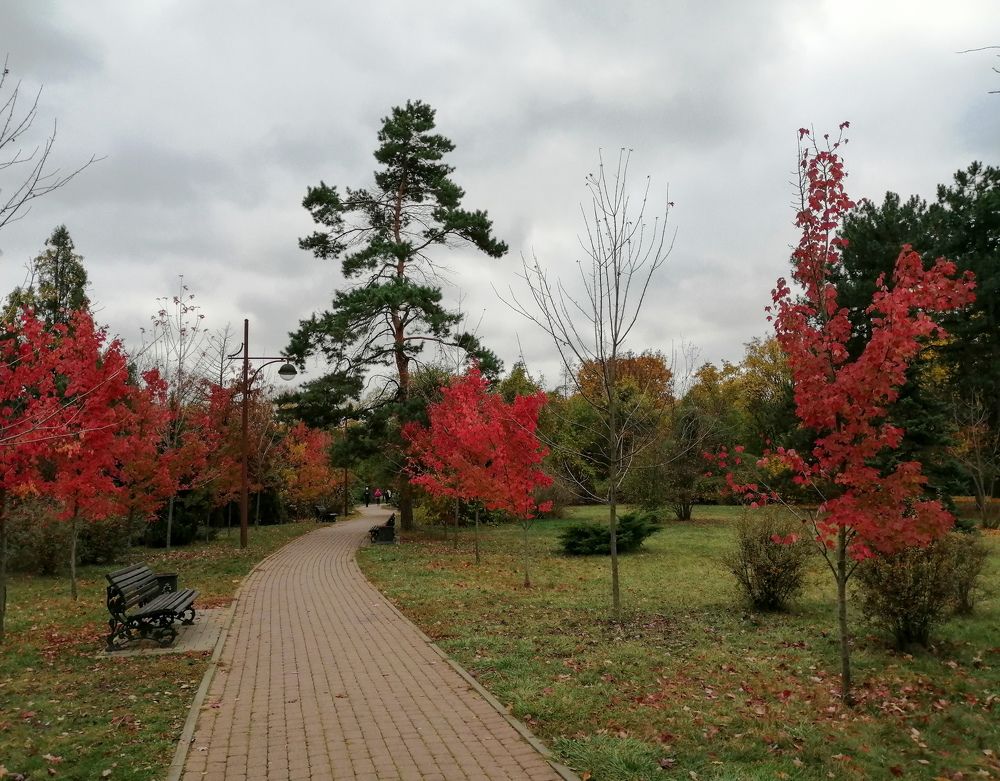 Photograph by Александра Шереметьева