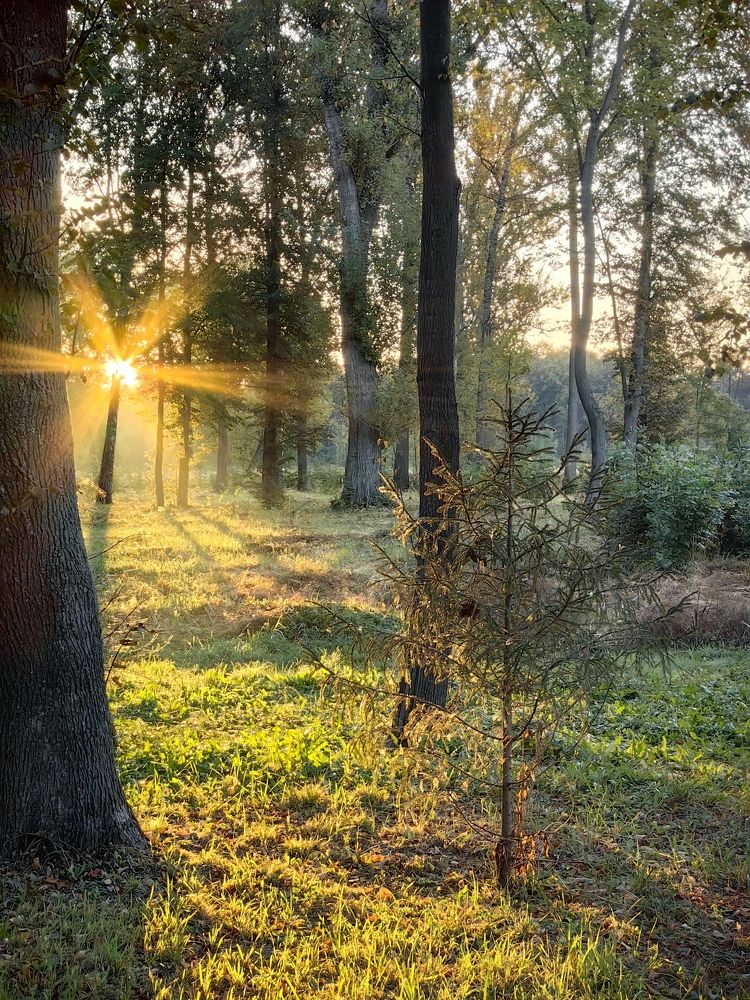 Photograph by Дмитрий Чебанов